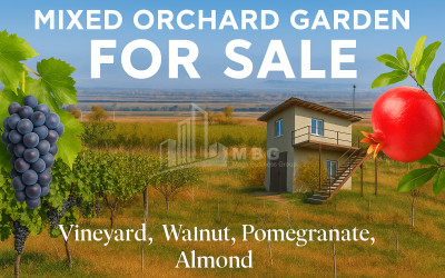 Продается Коммерческий Бичнигаури Душети Мцхета   Мтианети