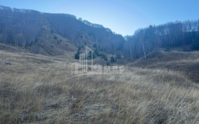 Продается Земля Казбеги Мцхета   Мтианети