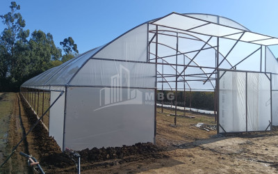 For Sale Land, Nosiri, Senaki, Samegrelo