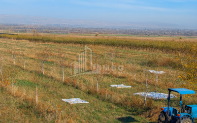 For Sale Land Village Shaumiani Marneuli Kvemo Kartli