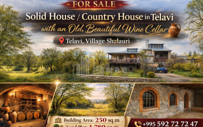 Продается Старое здание Дом - Вилла В Шалаури, Телави