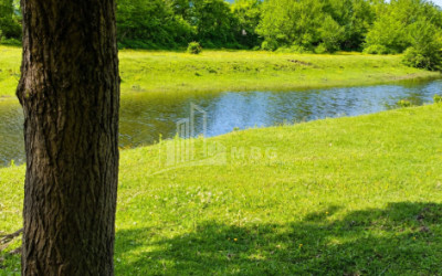 For Sale Orchards Land In Abasha