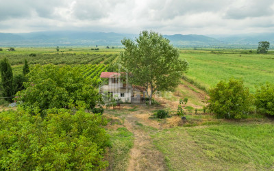 For Sale Land Kakheti