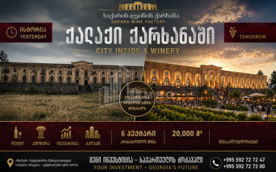 იყიდება შატო / ღვინის ქარხანა / მარანი კომერციული ფართი სოფელ არგვეთაში, ზესტაფონი