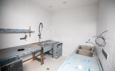 For Sale Hotel - Resort Commercial, in Chugureti District