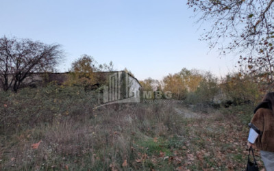 For Sale Commercial Akhmeta Kakheti