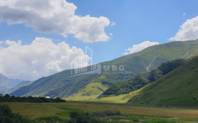 იყიდება მიწის ნაკვეთი აჩხოტი ყაზბეგი მცხეთა   მთიანეთი