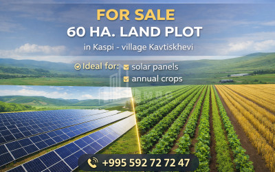 For Sale Food facility Commercial, in Velistsikhe