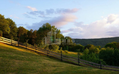 For Sale House - Villa, in Betania