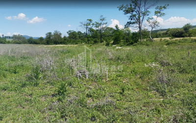 For Sale Country Land, in Village Baga