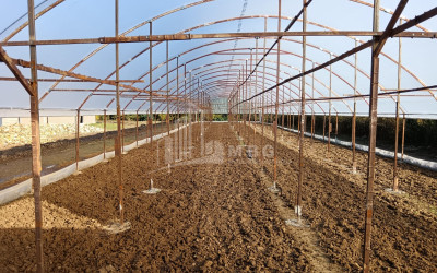 For Sale Land, Nosiri, Senaki, Samegrelo