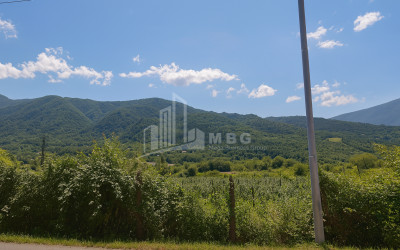 For Sale Land Kvatskhuti Ambrolauri Racha   Lechxumi Kvemo Svaneti