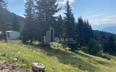 For Sale Country Land, in Khulo