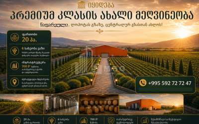 იყიდება სავენახე - საშატოე მიწის ნაკვეთი ნაფარეულში, თელავი