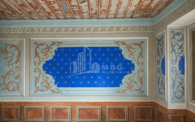 For Sale Old building House - Villa In Dzalisi, Mtskheta