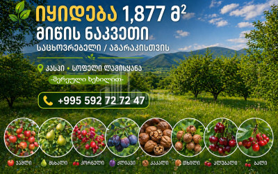 იყიდება სააგარაკე მიწის ნაკვეთი ლამისყანაში, კასპი