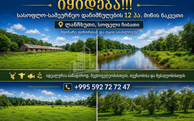 იყიდება სახნავ - სათესი მიწის ნაკვეთი სოფელ ჩიბათში, ლანჩხუთი