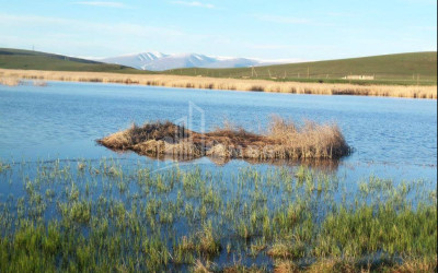 იყიდება მიწის ნაკვეთი წალკა ქვემო ქართლი