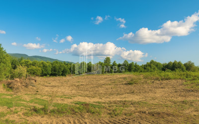 For Sale Land Eki village Senaki Samegrelo   Upper Svaneti