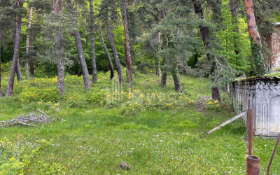 იყიდება სააგარაკე მიწის ნაკვეთი, ონი