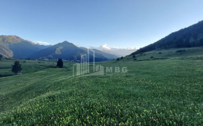 For Sale Land Tsvirmi Mestia Samegrelo   Upper Svaneti