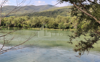 For Sale Lake - Fishing farm Land, in Gombori