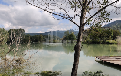 For Sale Lake - Fishing farm Land, in Gombori