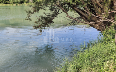 For Sale Lake - Fishing farm Land, in Gombori