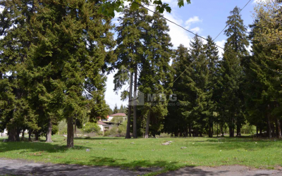 For Sale Land, beating, Borjomi Municipality, Municipalities of Samtskhe   Javakheti