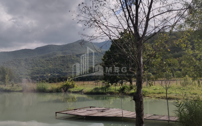 For Sale Lake - Fishing farm Land, in Gombori