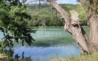 For Sale Lake - Fishing farm Land, in Gombori