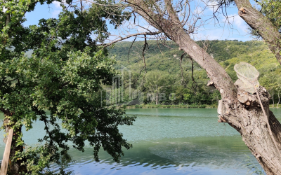 For Sale Lake - Fishing farm Land, in Gombori