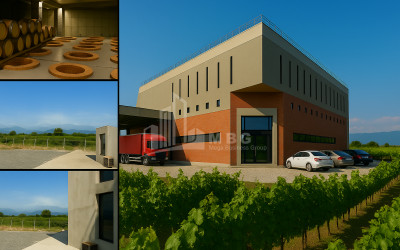 Продается Коммерческий Охио Ахмета Кахети