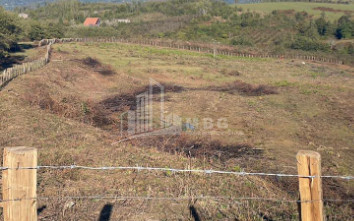 For Sale Blueberry orchard Land In Baileti, Ozurgeti