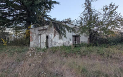 For Sale Commercial Akhmeta Kakheti