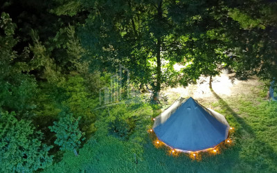 Business for sale Commercial Telavi Kakheti