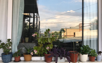 For Sale House - Villa, in Elia