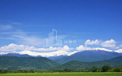 იყიდება სავენახე - საშატოე მიწის ნაკვეთი თელავში