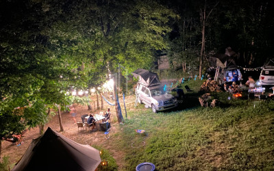 იყიდება ბიზნესი კომერციული ფართი თელავი კახეთი