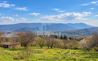 For Sale Country Land In Tsitsamuri, Mtskheta
