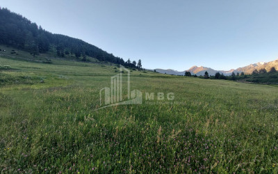 For Sale Land Tsvirmi Mestia Samegrelo   Upper Svaneti