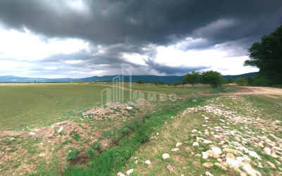 For Sale Vineyard - Chateau Land, in Manavi