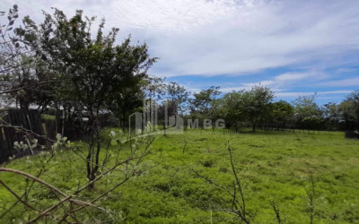 For Sale Land Grigoleti Lanchkhuti Municipalities of Guria