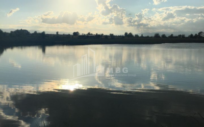 For Sale Vineyard - Chateau Land, in Telavi