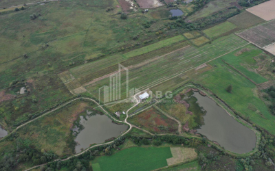 For Sale Vineyard - Chateau Land, in Telavi