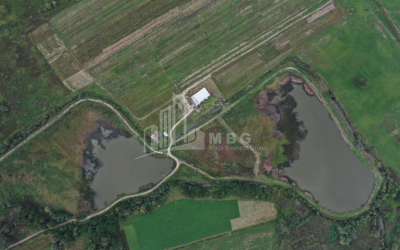 For Sale Vineyard - Chateau Land, in Telavi