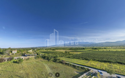 For Sale Land Ruispiri Telavi Kakheti