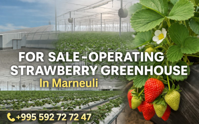 Продается Ферма теплицы Земля В Марнеули