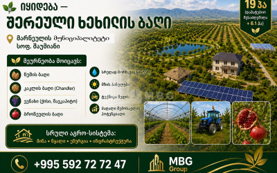 Продается Фруктовые сад Земля В Деревня Шаумяни, Марнеули