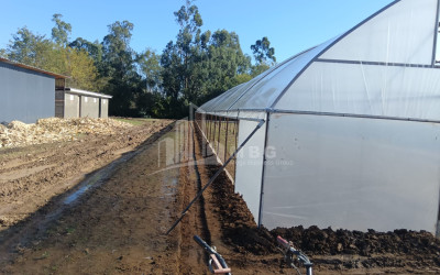 For Sale Land, Nosiri, Senaki, Samegrelo